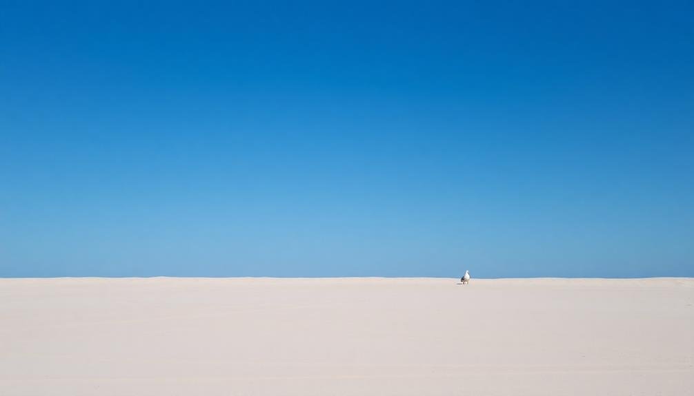 artistic composition exploration