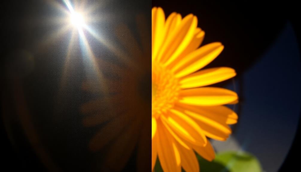 minimized reflection and glare
